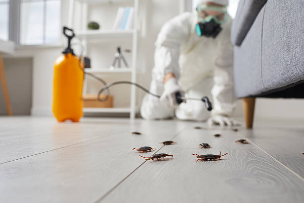 Commercial Kitchen Cockroach Control in Hartford